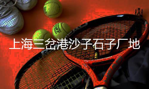 无锡沙子石子批发市场、彩石子批发厂家电话地址、抛光白石子批发多少钱、滨州各种石子批发市场