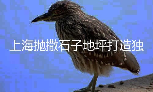 牟定石子批发市场在哪、伊春彩色石子批发市场、栾城石子批发市场在哪、山东石子市场考察报告