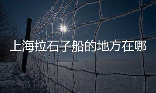 上海海边石子路在哪个区、鱼石子软膏上海何店买、上海哪里有园景石子买、上海破碎石子事件视频
