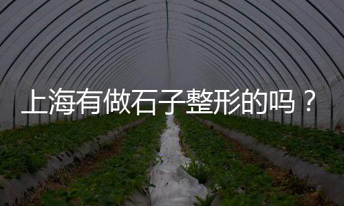 广西梧州石场石子批发、石子黄沙批发多少钱、衡水石子批发市场、吉林铺路石子批发厂家