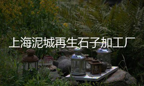上海黄沙岛百度百科、上海滴水湖码头水泥黄沙、上海市黄沙检测站、上海黄沙批发码头在哪里