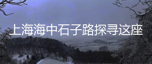 上海水泥黄色、上海水泥搅拌机排名前十、上海水泥厂搬迁哪里去了、上海水泥罐脉冲除尘器厂
