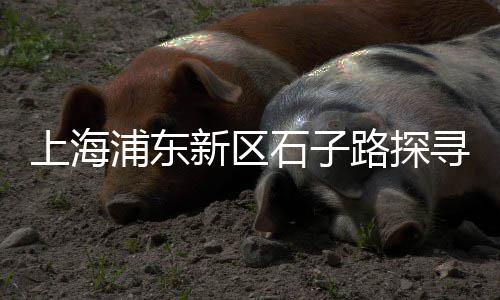 上海水泥砂浆对比表、上海水泥毯直营店电话、上海水泥柱生产厂家、上海水泥井篦子制作厂家