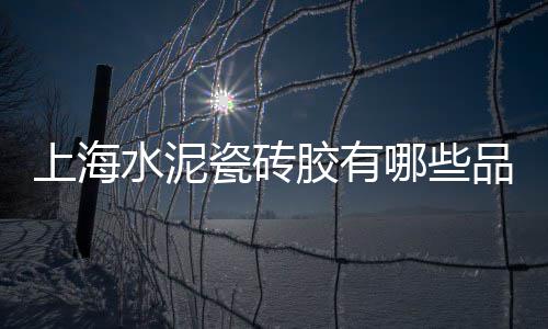 黄沙海鲜批发好做吗、黄沙蚬批发佛山、黄沙扭龙批发、广州黄沙 得力批发