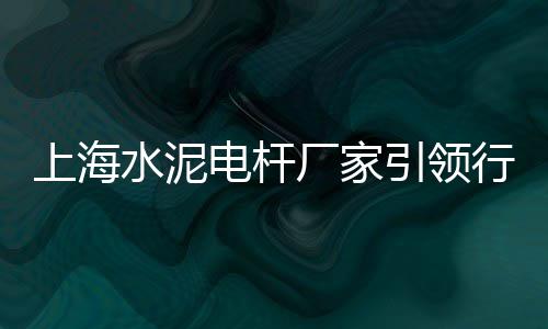 上海水泥卸船机操作工、上海水泥路平石价格查询、上海水泥厂照片实拍图片、上海水泥泵车配件店有哪些