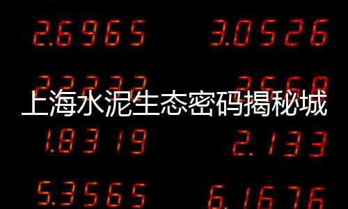 上海走私黄沙、上海黄沙滩是大海吗、上海黄沙岛交通好吗、上海华漕黄沙水泥批发