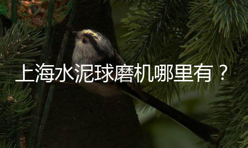 石子整形机价格多少、北京石子价格公示、外墙洗石子价格、小石子型号价格