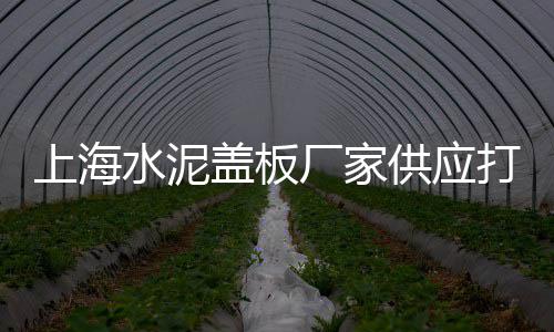 肥西县水泥黄沙批发零售、码头批发零售黄沙水、南沙黄沙零售哪家好点、水泥黄沙批发零售电话