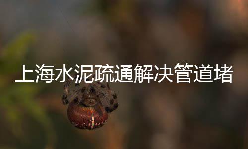 上海黄沙水泥配送价格多少、上海建材黄沙价格、上海黄沙岛码头、上海配送黄沙公司