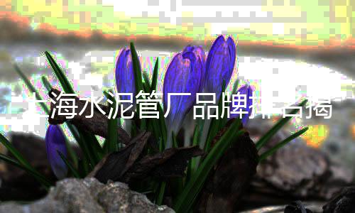 芜湖石子批发市场、新乡石子批发厂家、南川水洗石子批发、北京石子底座批发