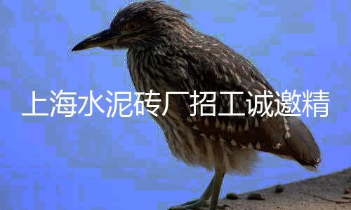 梁溪区专业黄沙价格、如皋黄沙石子价格走势表、黄沙海鲜市场购买价格、桂林黄沙租房价格走势