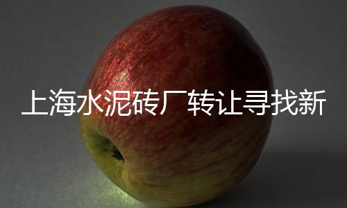 户县批发石子馍在哪里、大张庄石子批发商、白色景观石子批发淄博、廊坊三河石子批发