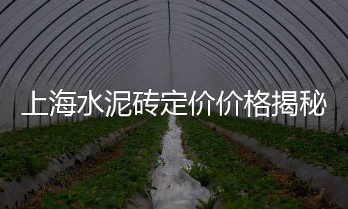 海南100吨水泥仓价格、今日衡阳水泥价格查询、成都水泥墩价格最新、盐津水泥价格行情