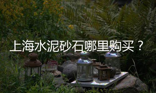 燕郊石子批发、金乡县石子厂家批发、莱山区石子厂家批发、张板沙石子水泥批发