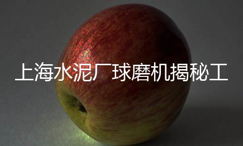 水泥黄沙建材批发上海、上海蛋黄沙厂家批发供应、上海杨浦水泥黄沙厂地址、上海去哪里买水泥黄沙