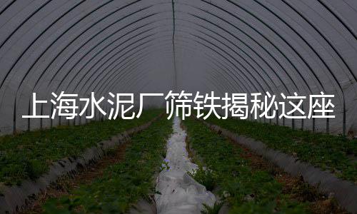 盾石水泥价格425、眉山水泥价格、金峰水泥价格、闽强水泥价格