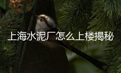 天津白色石子批发市场、天津鸡血红石子批发市场、石子批发市场在哪个位置、共青石子批发市场在哪里