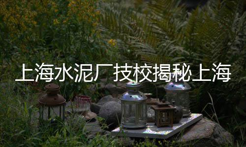 上海水泥灌浆料标准、上海水泥井管机械销售、上海水泥输送机定做、上海水泥免烧砖机批发