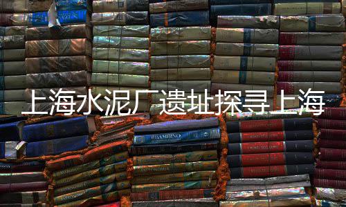 上海水泥燃烧器、上海水泥实心砖、2017年上海水泥试题、上海水泥报价单