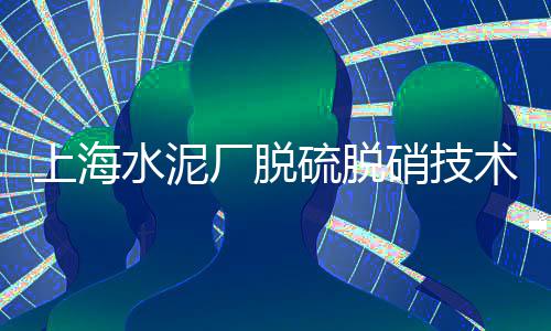 全国水泥批发市场、水泥建材未来市场前景、山东水泥市场监管电话、工厂水泥修复市场报价
