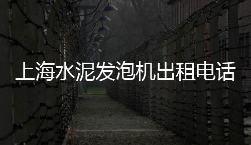 上海水泥激光整平机、上海水泥制品设备直销、上海水泥用破碎机、上海水泥罗马柱厂家