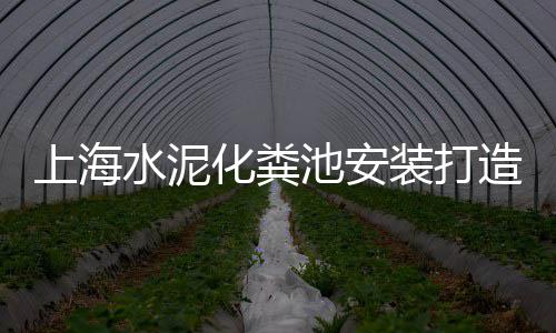 晋南地区水泥市场走向图、福州环保水泥砖批发市场、国产水泥包装机批发市场、拉萨彩色水泥砖批发市场
