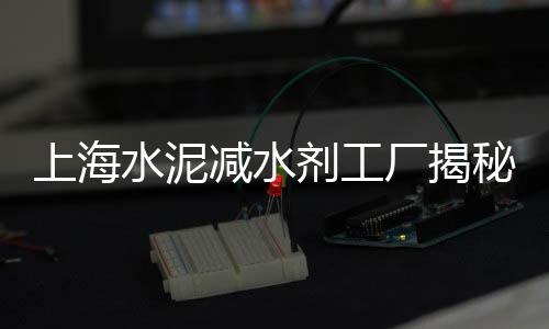 上海黄沙水泥市场、上海南汇黄沙滩公园住宿、上海黄沙现在一吨价格、上海水泥黄沙价钱表图片