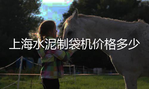 上海水泥模具定制、上海水泥路沿石嘉定厂家、上海水泥砖怎么铺好看、上海水泥花盆定制厂家有哪些