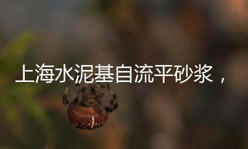 上海水泥黄砂码头、上海水泥黄沙爬楼招工、上海水泥给料机价格查询、上海水泥窗花怎么铺