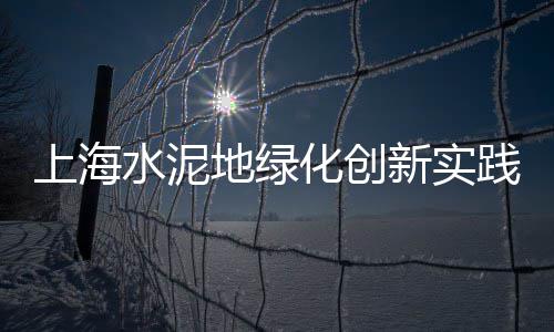郑州地区卖石子的市场、虹桥市场石子馍、市场石子价格走势、临朐盆景石子市场