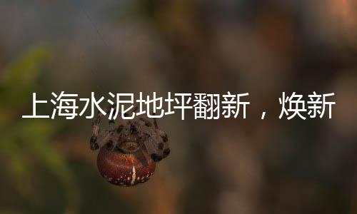 西安石子批发出售、东莞常平批发石子在哪里、石子鹅卵石批发厂家、常平石子批发多少钱