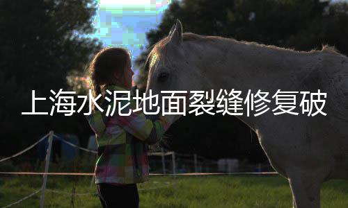 万宁硅酸盐水泥批发、发泡水泥批发、轻质水泥回填批发、绵阳水泥井盖批发