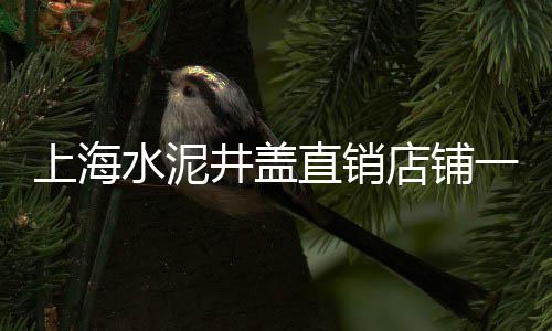 邹城拍卖石子价格查询、济南1213青石子价格、南京浦口建材石子价格、苍山石子的价格