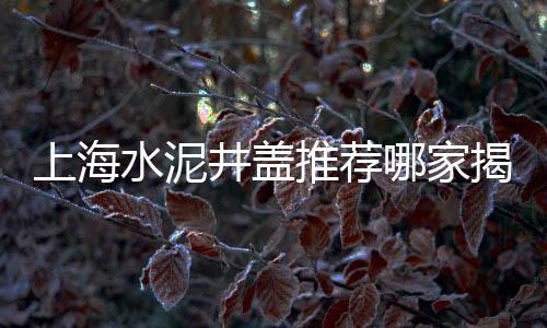 广州黄沙海鲜生蚝批发、郎溪黄沙批发店、海南省黄沙批发、广州黄沙海螺批发