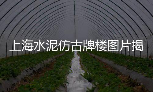 今日水泥价格视频新闻、阳泉水泥地砖价格、墙壁纸水泥价格行情、重庆水泥船租赁价格多少
