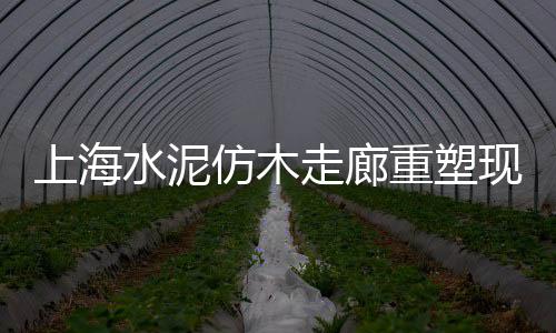 黄沙市场需求分析论文、龙虾黄沙市场、黄沙市场特产、常州黄沙市场
