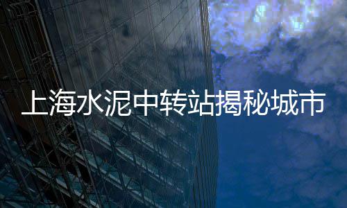 徐州沙子石子水泥批发、西安手工石子馍批发、枯山水石子批发云浮、辽宁石子批发厂家地址