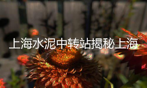 南京水泥地坪染色剂批发、运城水泥地板批发、水泥灰浆泵批发、沈阳水泥消防井批发
