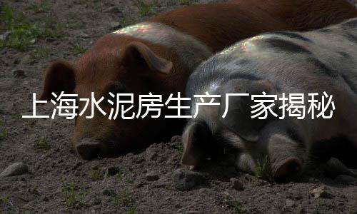 海珠区自流平水泥批发、温岭水泥批发、天涯水泥批发、小袋水泥批发