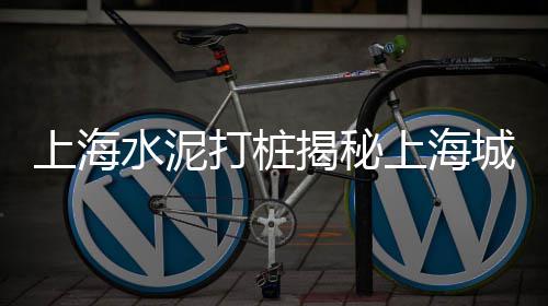 上海水泥基3d打印服务、上海水泥基磨石多少钱、上海水泥沥青路面施工、上海水泥多孔砖批发厂家