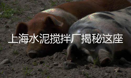上海水泥黄沙出售、上海山料黄沙箱生产厂家、上海黄沙水泥直销一条龙、上海蛋黄沙加工厂地址