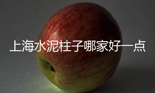 上海水泥筒厂、上海水泥封商铺了吗、上海水泥鬼楼事件视频、上海水泥价格对比图最新