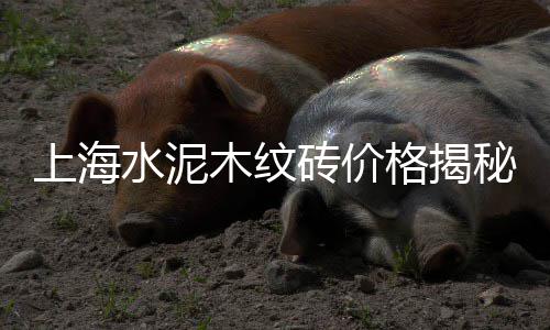 贺州水泥批发基地、即墨沙子水泥批发、宜宾批发河沙水泥、酒泉沙子水泥批发