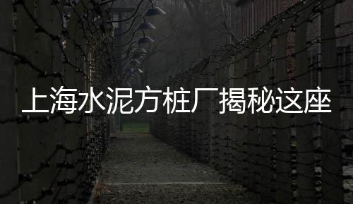 孝感新型水泥发泡板零售、邯郸水泥批发零售、广州水泥零售运输、灵石零售水泥价格