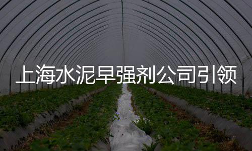 济南鱼缸石子批发市场地址、石子岭禽畜市场开业没、上海宝山黄沙石子市场、长春市建筑石子市场