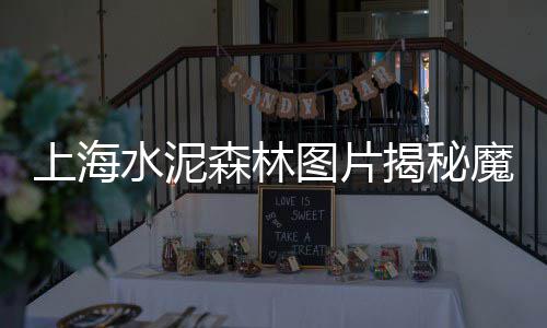 宁波的黄沙市场价格、广东黄沙市场海胆批发电话、黄沙市场帝王蟹批发电话、黄沙市场牛仔骨价格表