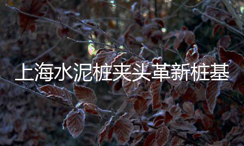 通化灌装水泥零售、批发零售水泥红砖厂家、哈尔滨水泥厂是否零售、黄石水泥预制板零售
