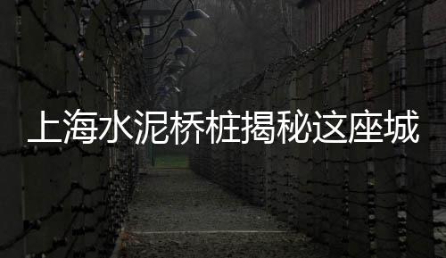 暗访黄沙市场的人是谁呀、黄沙市场整幢出售房源、黄沙市场货车出租信息最新、广州黄沙市场怎么走