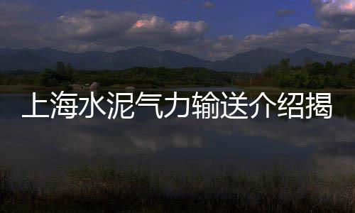 上海青石子贴吧微博、车门石子坑修复上海、上海石子老板简介资料、上海石子哪里拉的