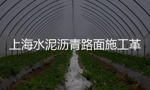 聚合物水泥防水砂浆价格、复合发泡水泥保温板价格、五羊牌水泥价格怎么样、六盘水水泥市场价格